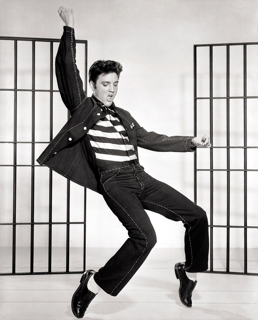 Fascinating Facts About the King of Rock ‘n’ Roll, Elvis Presley